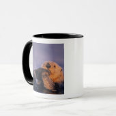 Mug Loutre de mer, Enhydra lutris (Devant gauche)