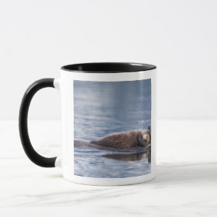 Mug loutre de mer, Enhydra lutris lutris