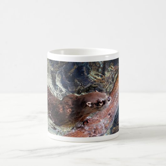 Mug Loutre espiègle (Centre)