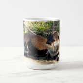 MUG LOUTRES (Centre)
