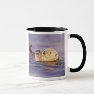 Mug Loutres de mer, Enhydra lutris