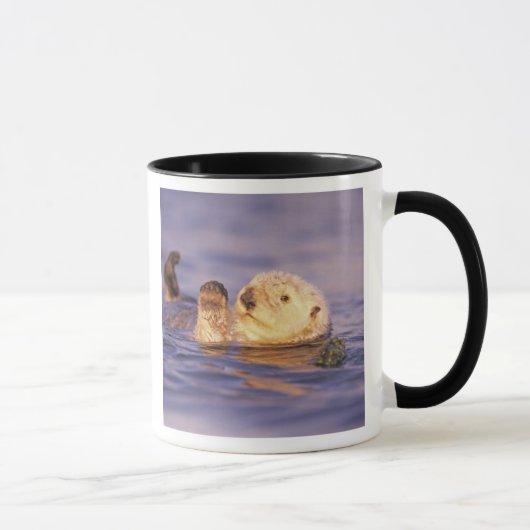 Mug Loutres de mer, Enhydra lutris (Droite)