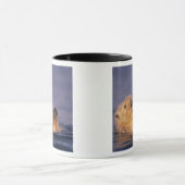 Mug Loutres de mer, Enhydra lutris 2 (Centre)
