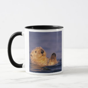 Mug Loutres de mer, Enhydra lutris 2