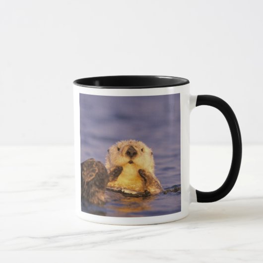 Mug Loutres de mer, Enhydra lutris 5 (Droite)