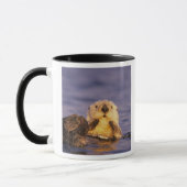 Mug Loutres de mer, Enhydra lutris 5 (Gauche)