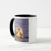 Mug Loutres de mer, Enhydra lutris 5 (Devant gauche)
