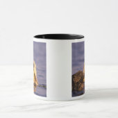 Mug Loutres, Enhydra lutris 5 (Centre)