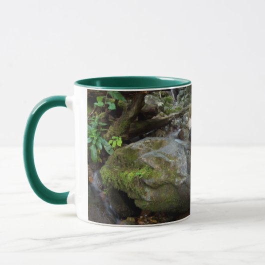 Mug Lower Dark Hollow Falls, Shenandoah (Gauche)