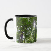 Mug Lumière du soleil à travers la canopée de la forêt (Gauche)