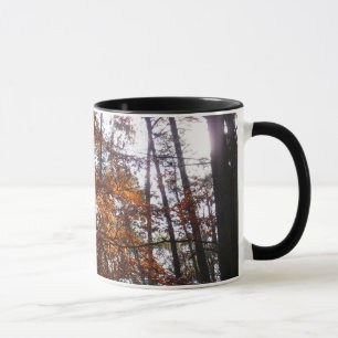 Mug Lumière du soleil à travers un arbre d'automne à G