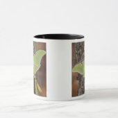 Mug Luna Moth en soie (Centre)