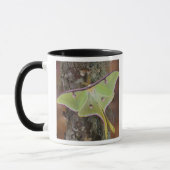 Mug Luna Moth en soie (Gauche)