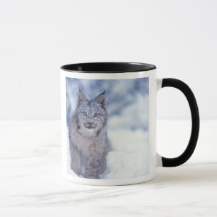 Mug Lynx dans la neige au pied des collines
