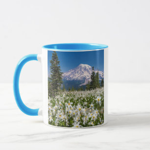 Mug Lys avalanches et Mont Rainier 2