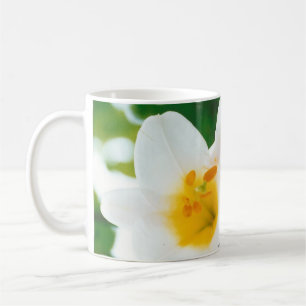 Mug Lys blancs - Lilium Flower candidum