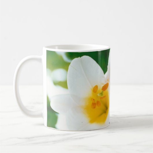 Mug Lys blancs - Lilium Flower candidum (Gauche)