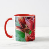 Mug Lys Stargazer canadien - Prospérité et abondance (Gauche)