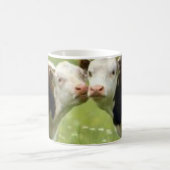 Mug m_e85bf03a39237472f9a3ef42af934ccc (Centre)