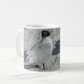 Mug M. et Mme Royal Tern sur la plage (Devant gauche)