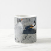Mug M. et Mme Royal Tern sur la plage (Centre)