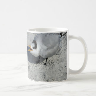 Mug M. et Mme Royal Tern sur la plage