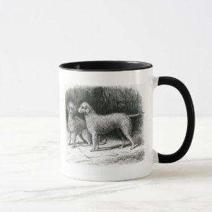 Mug M.F. Armstrong de chiens terriers de Bedlington