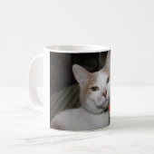 Mug M. Peabody ! (Devant gauche)