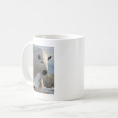 Mug M. Pish à l'île d'antilope (Devant gauche)