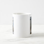 Mug M. Pish à l'île d'antilope (Centre)