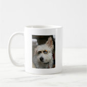 Mug M. Pish chez Graceland (Gauche)