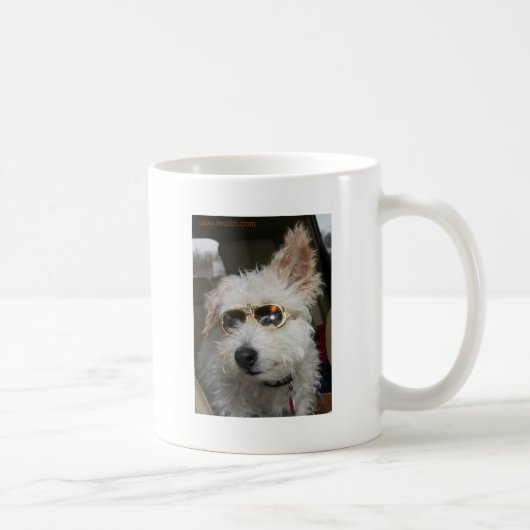 Mug M. Pish chez Graceland (Droite)