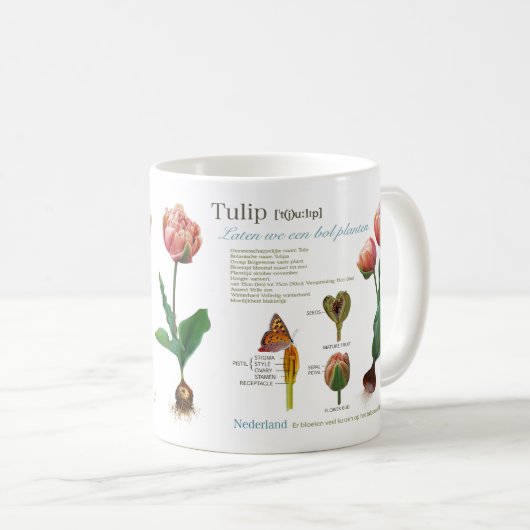 Mug ma tulipe ! (Devant droit)