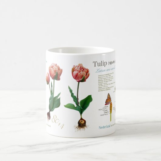 Mug ma tulipe ! (Centre)