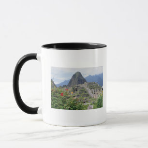 Mug Machu Picchu, Pérou