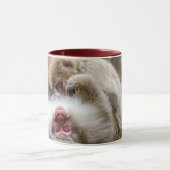 Mug Macque Monkey, Profiter de la bonne vie (Centre)