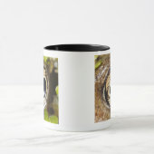 Mug Macro ; Horizontal ; Couleur ; Couleur ; Personne (Centre)