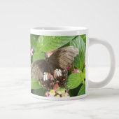 Mug Macro-papillon Scarlet (Droite)