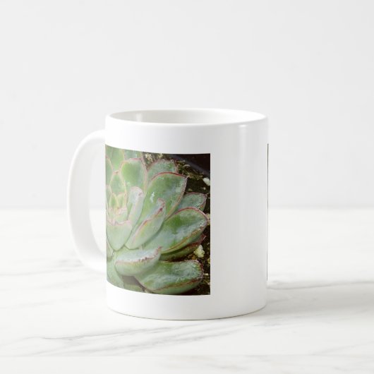 Mug Macro Photographie Succulente (Devant gauche)