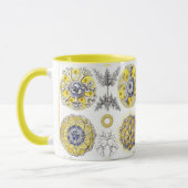 Mug Macro Sea Creatures Amoeba (Gauche)