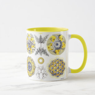 Mug Macro Sea Creatures Amoeba