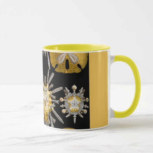 Mug Macro Sea Creatures Ourchins (Droite)