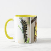 Mug Madame peinte par Américain Butterfly Lifecycle (Gauche)