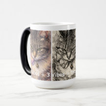 1 Humeur + 3 Ambiances = Purrfection Totale