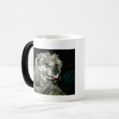 Mug Magique AAStamp1, règles de Roescher de daine de John (Devant gauche)