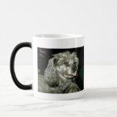 Mug Magique AAStamp1, règles de Roescher de daine de John (Gauche)