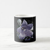 Mug Magique Akechi Mitsuhide [Morphing Mug] (Centre)