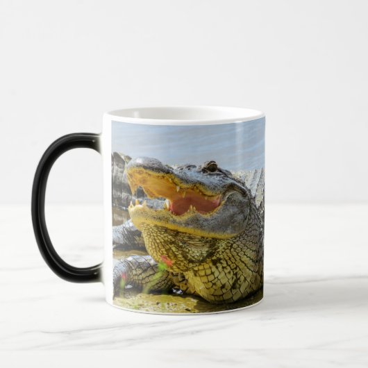 Mug Magique Alligator. Face à face (Gauche)