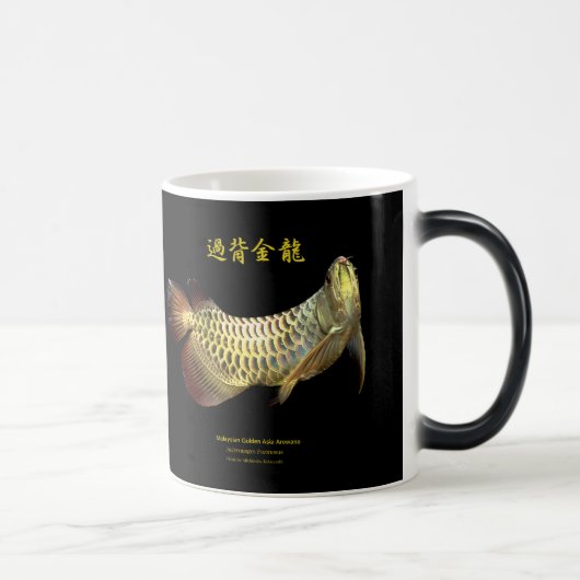 Mug Magique Asian Arowana (Droite)