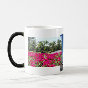 Mug Magique Baie de Caneel, St John, USVI